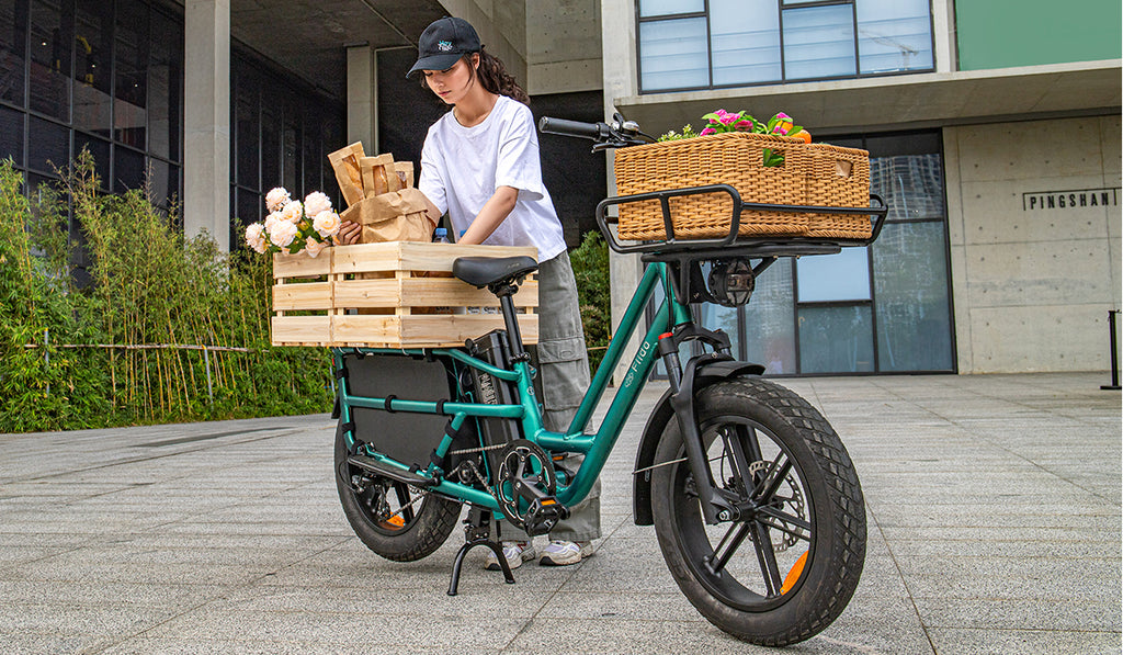 Fiido T2 Longtail Cargo E bike Vs. The Rad Power Bikes RadWagon 5