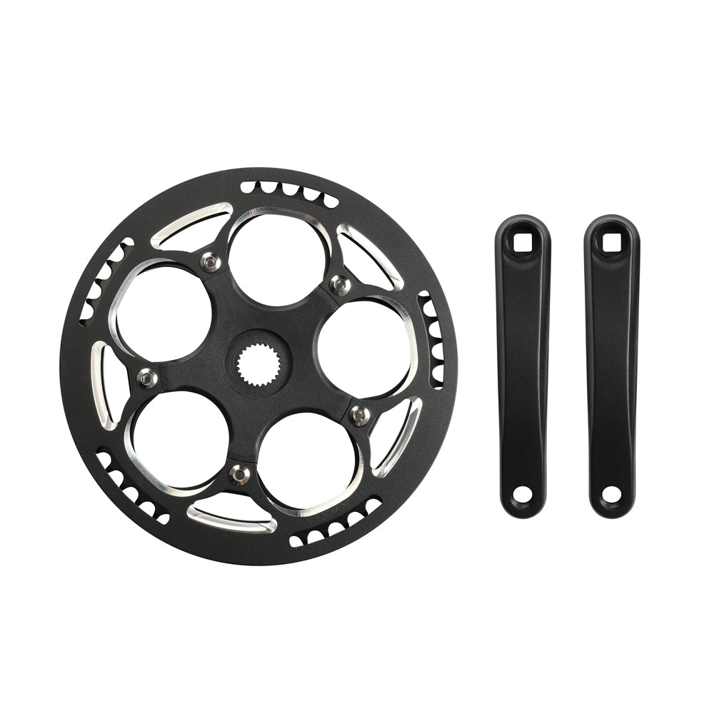 Chainwheel and Cranks for D21 - Fiido CA