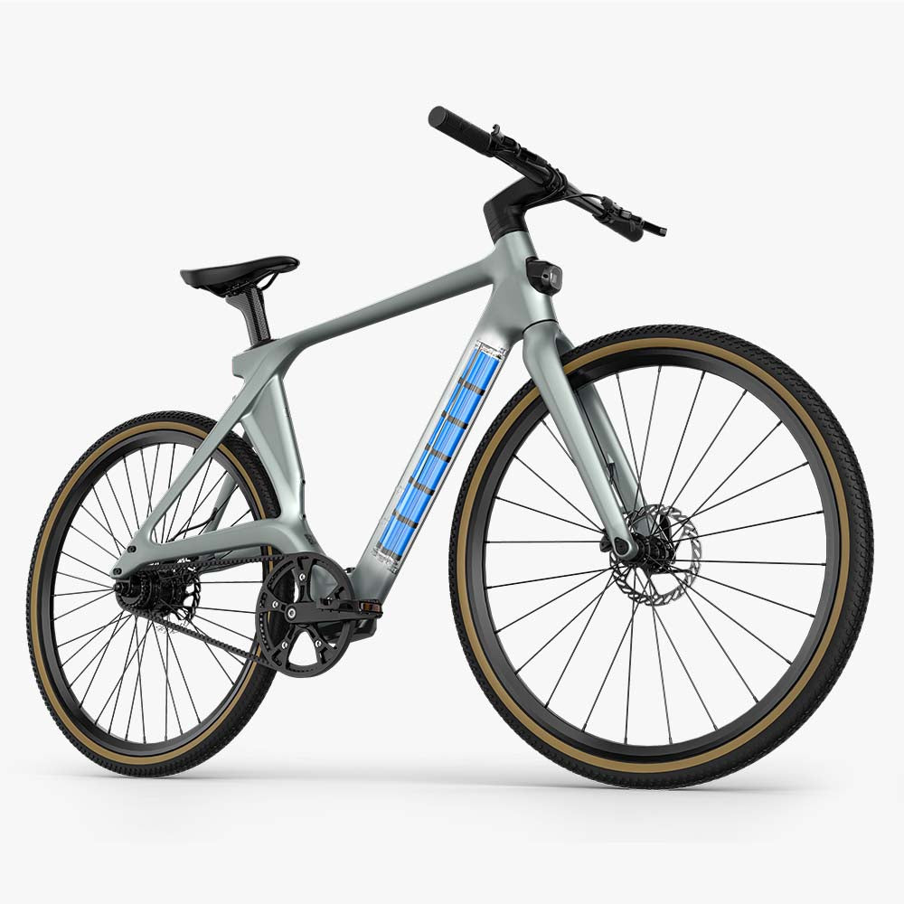 Carbon E Bike