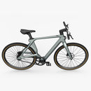 Fiido Air Carbon Fiber E-bike - Fiido CA