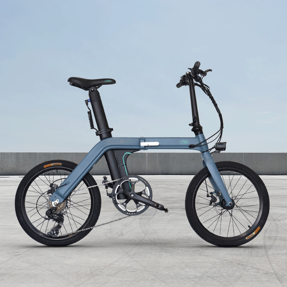 Fiido d11 electric bike sale
