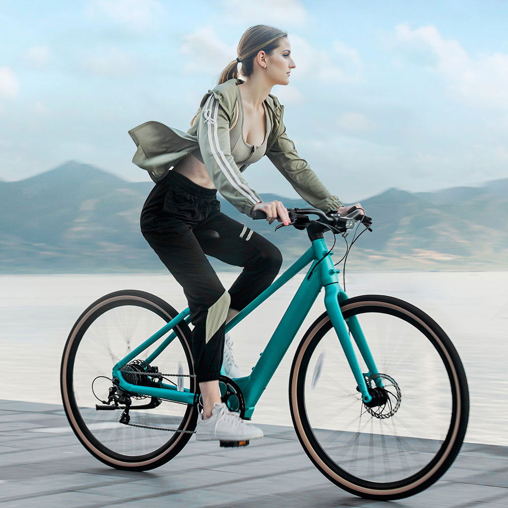 Fiido E-Gravel C22 Electric Bike - Fiido CA