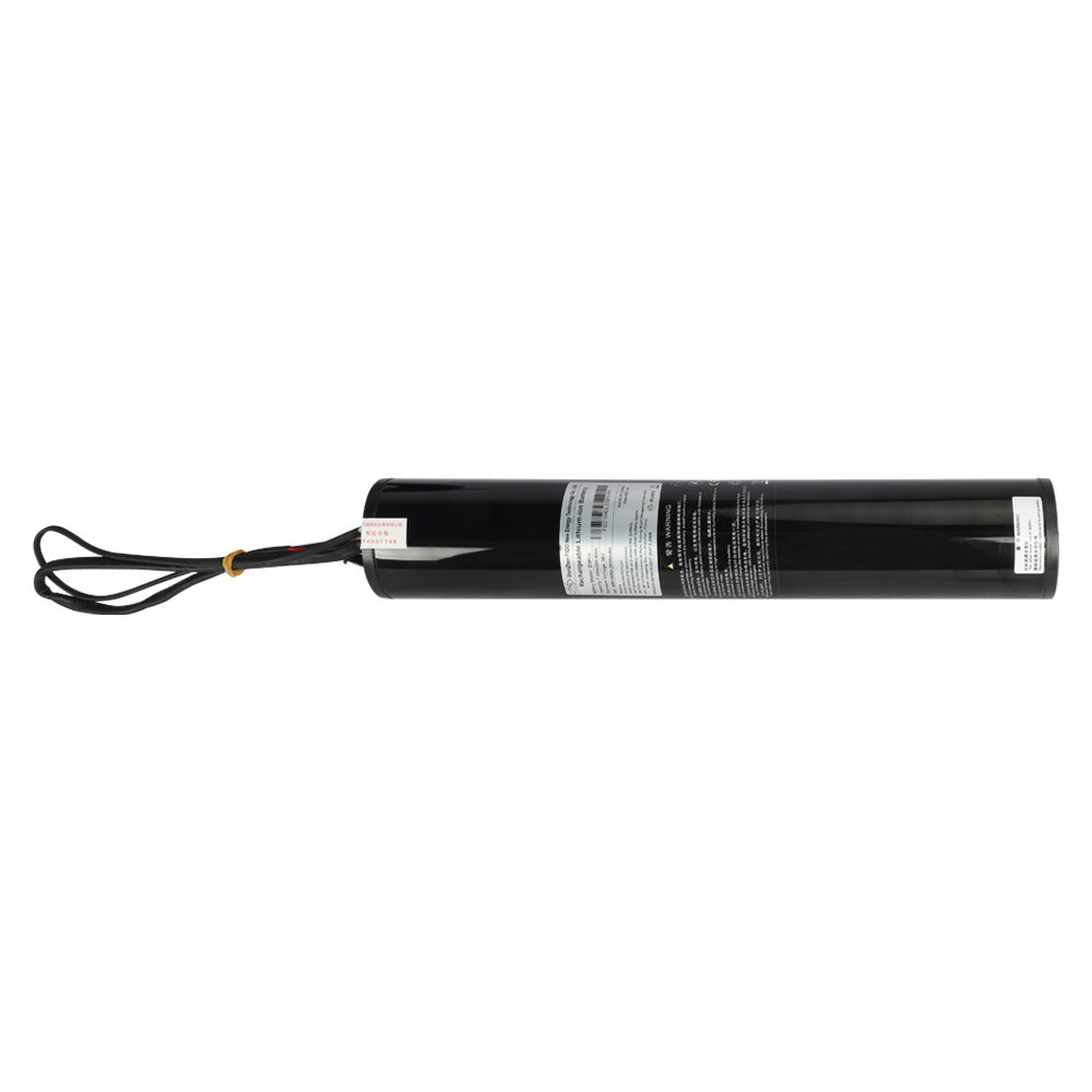 Fiido Electric Bike Battery for D3 Pro - Fiido CA