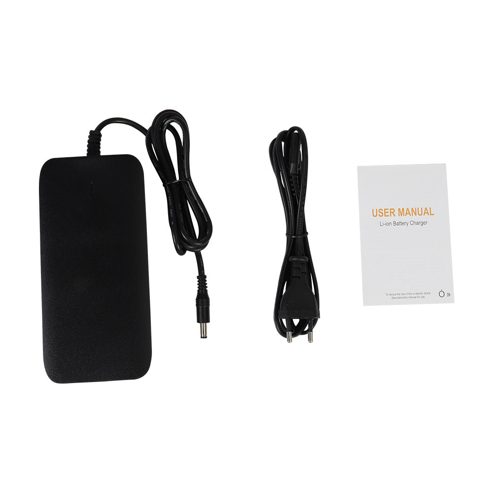 Fiido Electric Bike Charge for M21 - Fiido CA