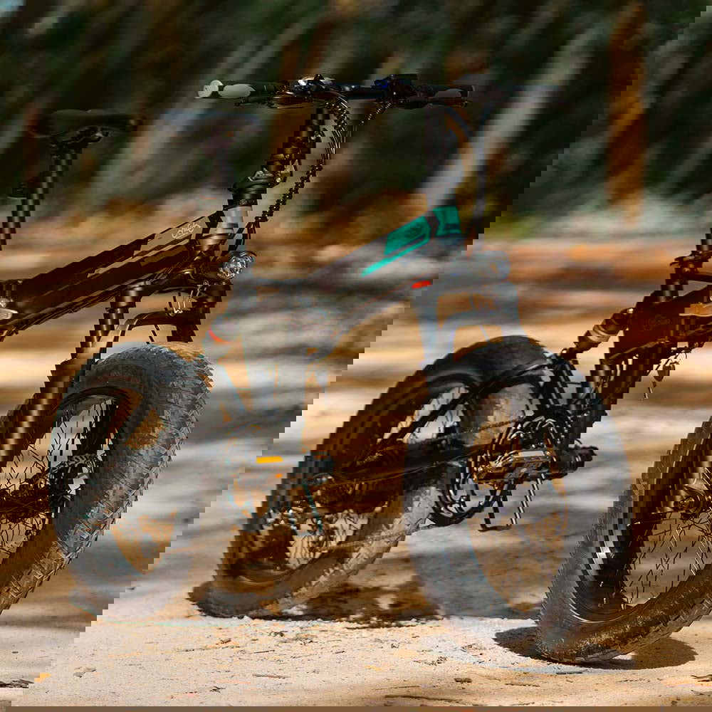 Fiido M1 Pro Fat Tire Folding Electric Bikes