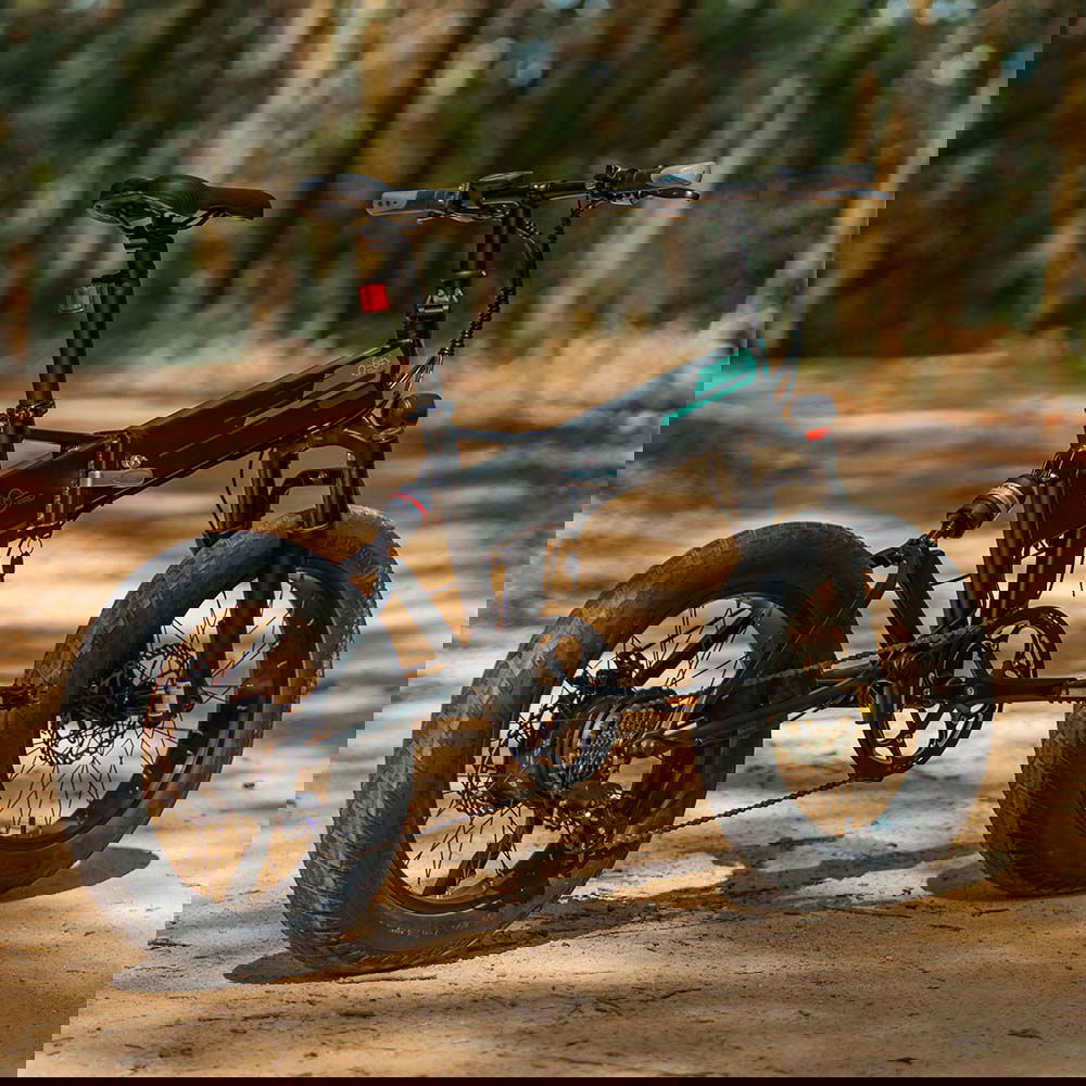 Fat Bike E Bike Fiido M1 Pro Electric Bicycle Fiido M1 Pro (48 V