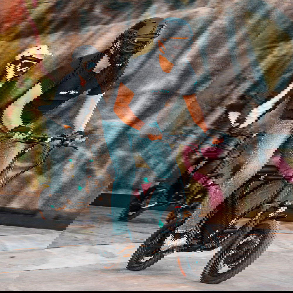 Fiido Q2 Dual motor Electric Scooter with Seat