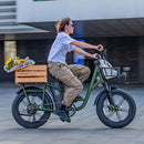 Fiido T1 Pro Utility Electric Bike - Fiido CA