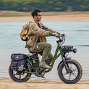 Fiido T1 Pro Utility Electric Bike - Fiido CA