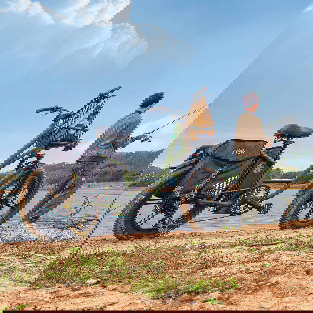 Fiido T1 Pro Utility Electric Bike - Fiido CA