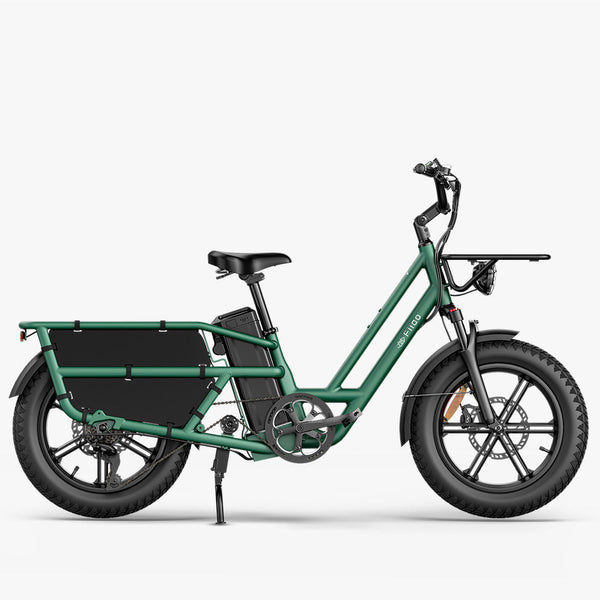 Fiido T2 Longtail Cargo E-bike - Fiido CA