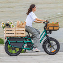 Fiido T2 Longtail Cargo E-bike - Fiido CA