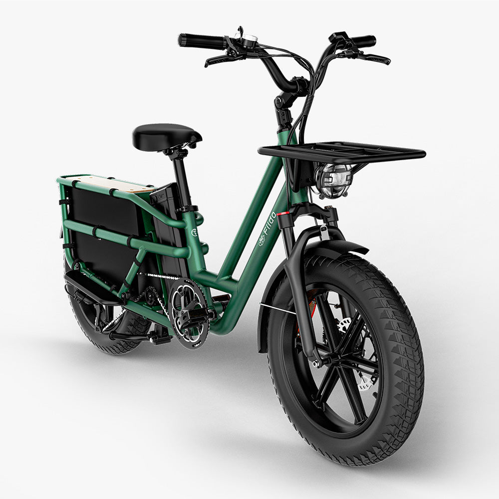 Fiido T2 Longtail Cargo E-bike - Fiido CA