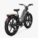 Fiido Titan Robust Cargo Electric Bike left side view