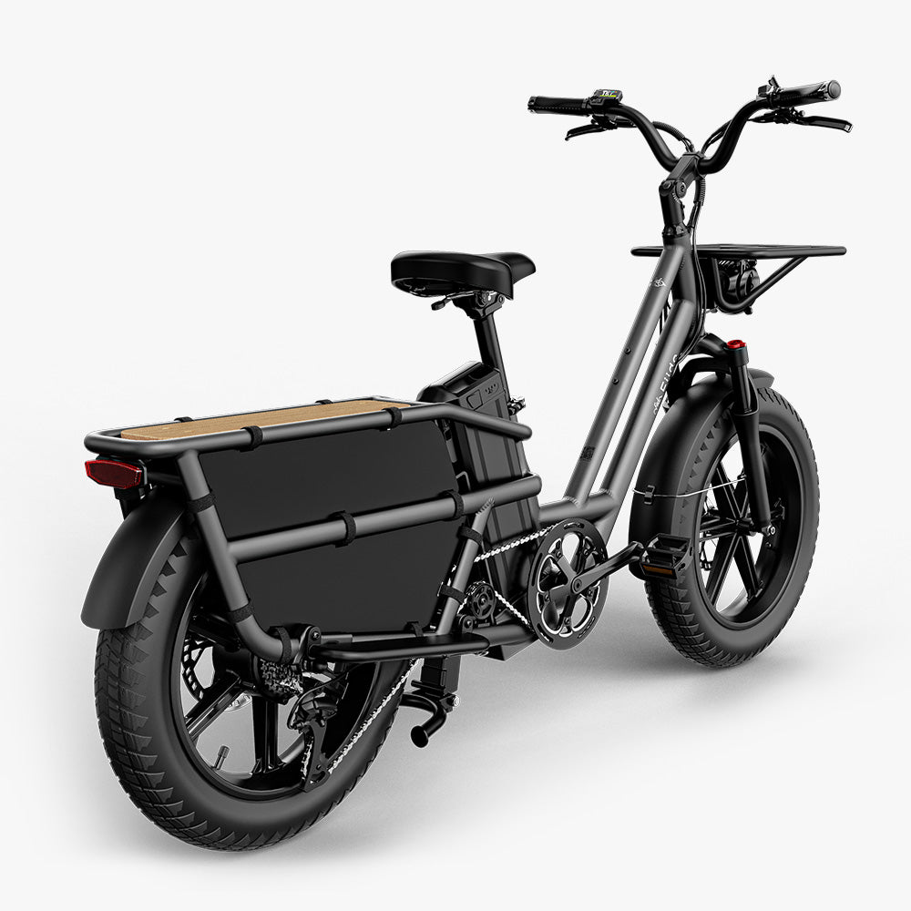 Fiido CA T2 Longtail Cargo Ebike for Versatile All Terrain