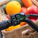 Handlebar view of the Fiido T2 Longtail Cargo E-bike with a digital display showing speed, in front of a basket filled with various fruits.